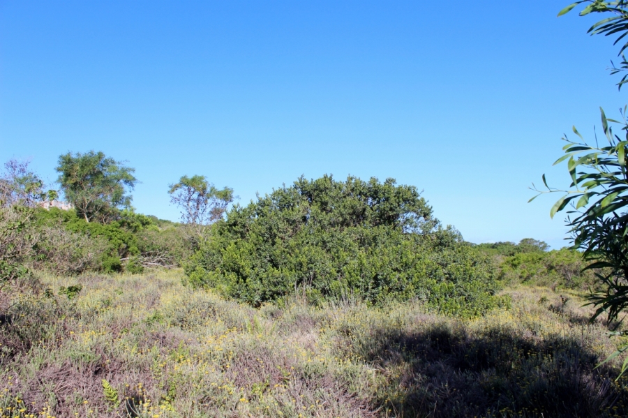 0 Bedroom Property for Sale in Forest Downs Eastern Cape